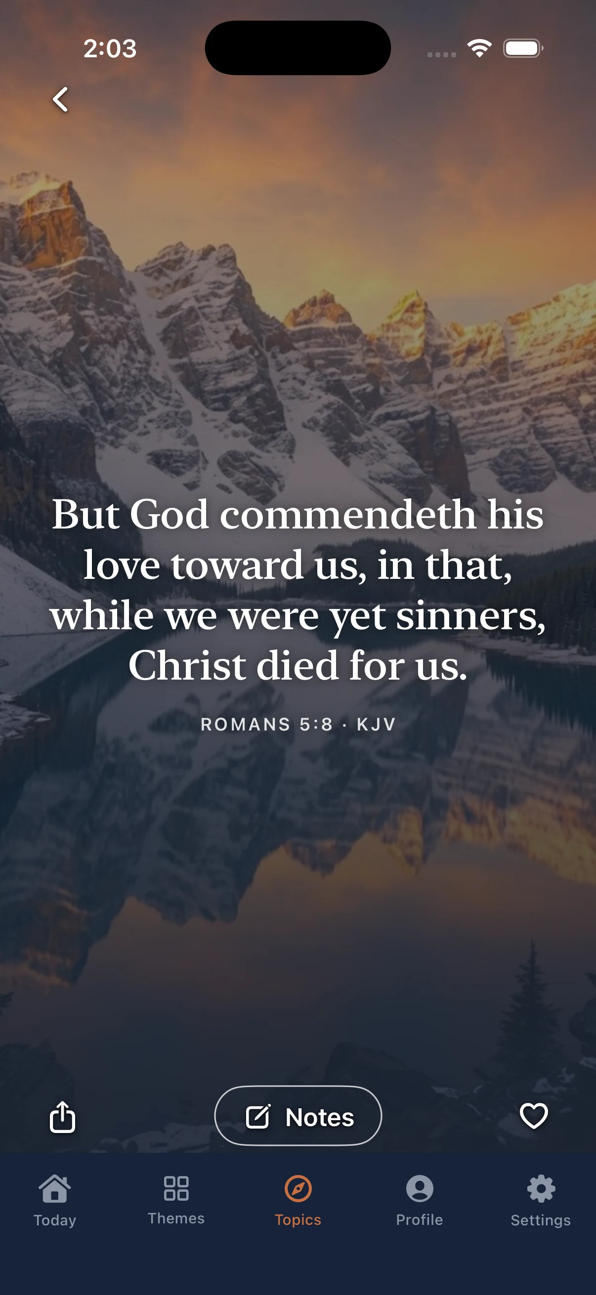 Bible Bloom — Personal Reflections